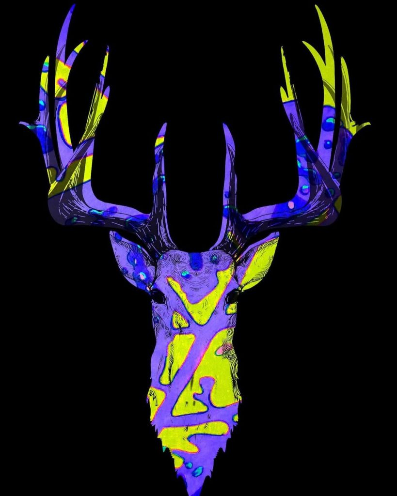 Barbara Heier-Rainer