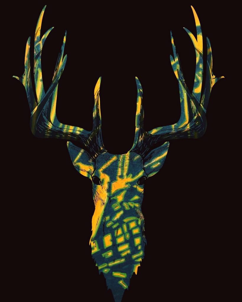 Barbara Heier-Rainer