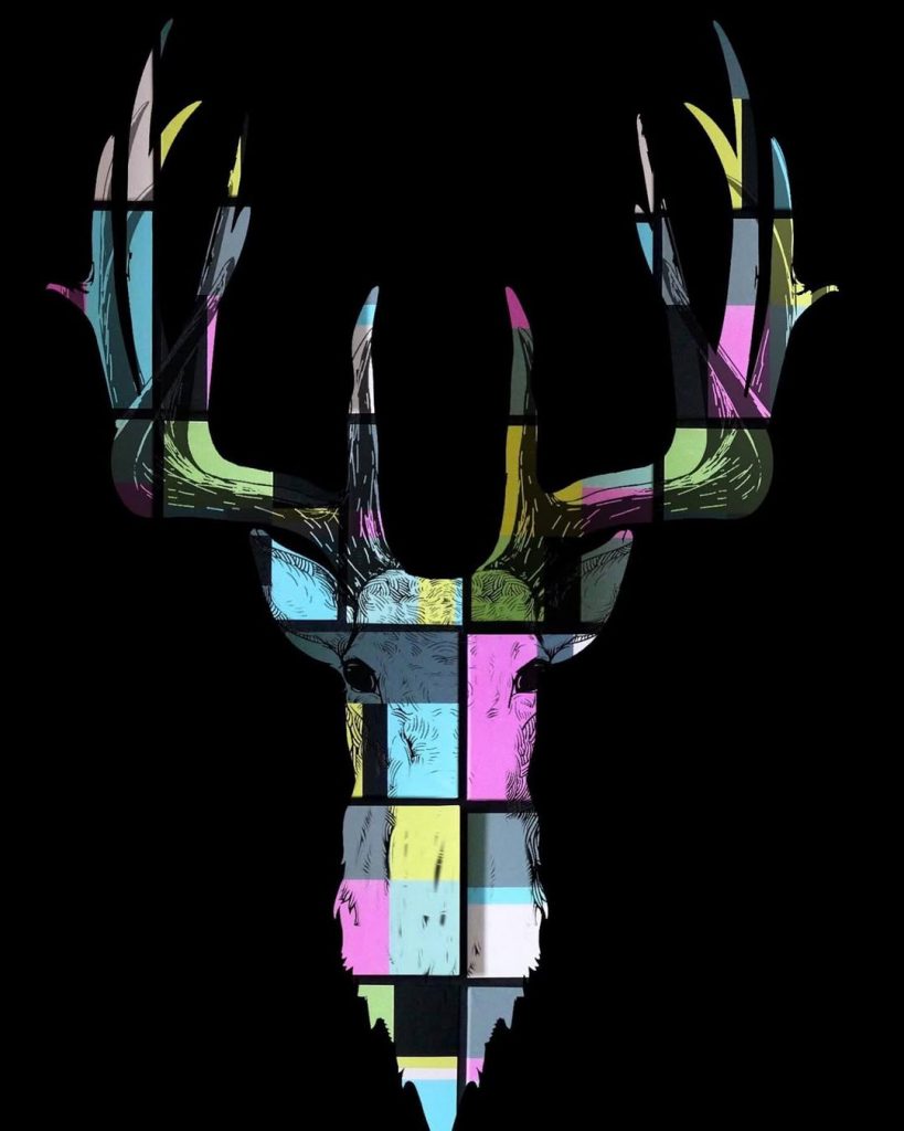 Barbara Heier-Rainer