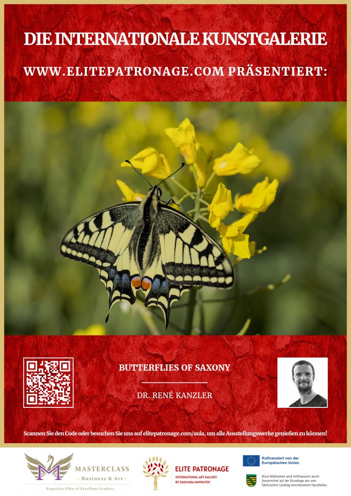 International Art Gallery “Elite Patronage”